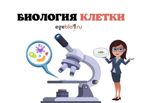 БЛОК 1. БИОЛОГИЯ КЛЕТКИ